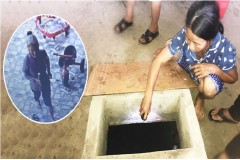 Nguyễn Thị T. phạm tội gì?