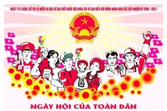 Quyền bầu cử trong các bản Hiến pháp của Việt Nam