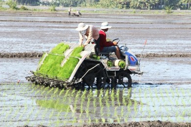 Nghị quyết soi đường, kỳ vọng châu thổ Cửu Long “cất cánh”