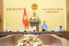 Hợp nhất Luật An ninh mạng và Luật An toàn thông tin mạng
