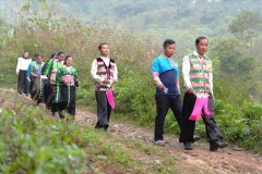 Trên 99% cử tri cả nước tham gia bầu cử