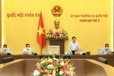 Ủy ban Thường vụ Quốc hội cho ý kiến về dự án Luật sửa đổi, bổ sung một số điều của Bộ luật Tố tụng hình sự
