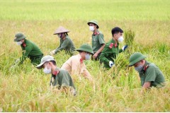 Phát huy tinh thần thi đua ái quốc trong phòng, chống “giặc” Covid-19