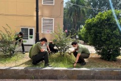 Trường Đại học An ninh nhân dân hưởng ứng Chiến dịch Giờ Trái đất năm 2022, đẩy mạnh thực hiện hiệu quả Chương trình hành động “Trường Đại học An ninh nhân dân chung tay bảo vệ môi trường”